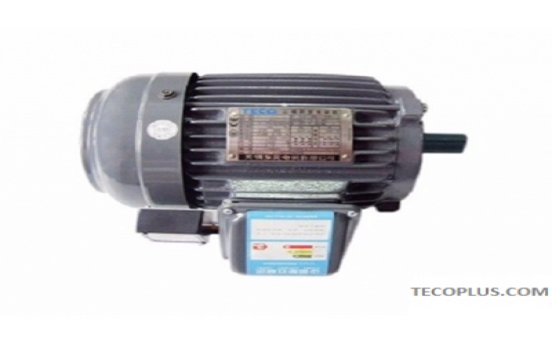 TECO Brake Motors