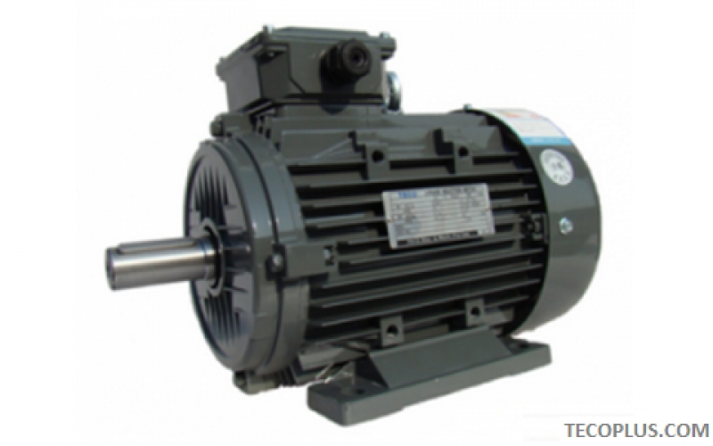 TECO Aluminum Motors