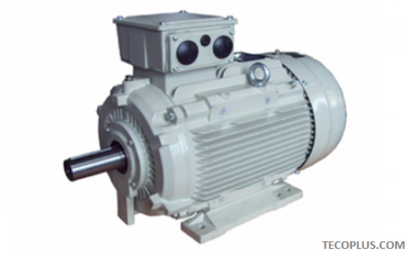 GB2 High Efficiency Motors