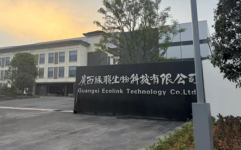 WEIMA ELECTRIC Assists Guangxi Ecolink in Establishing New Factories